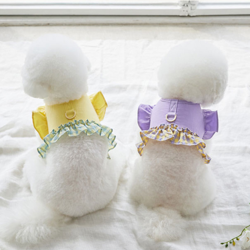 Coleira Peitoral Curta para Cã - Lace Teddy Lingerie avaliação e preço