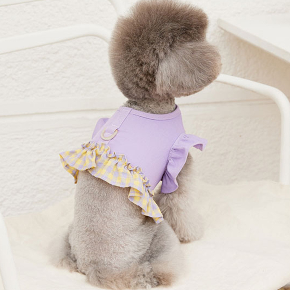 Coleira Peitoral Curta para Cã - Lace Teddy Lingerie avaliação e preço