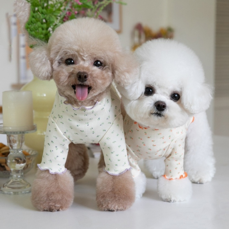 Camiseta de Inverno para Cães  - Lace Teddy Lingerie avaliação e preço