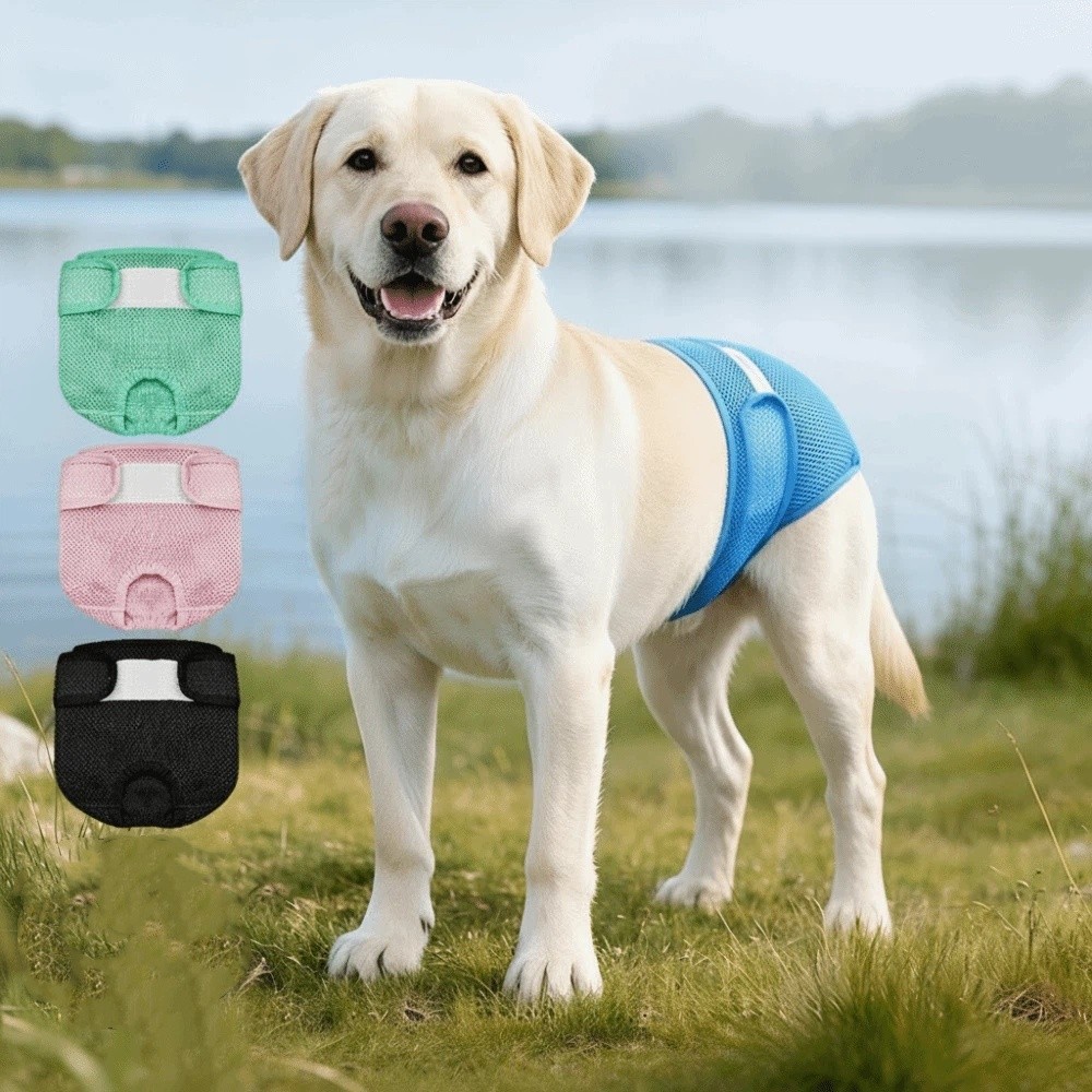 Fralda para Cães em Malha Resp - Period Panty Absorbent avaliação e preço